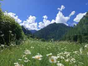 Great Himalayan National Park, Himachal Pardesh