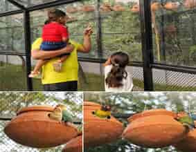 Alipore Zoological Garden of Kolkata Unveils India’s First Glass-enclosed Walk-In Aviary